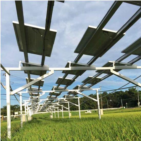 Granja de energía solar Invernaderos agrícolas solares Sistema de montaje Panel de agricultura fotovoltaica solar Marco de soporte de montaje para granja