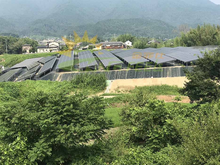 Los mercados emergentes de SolarPower Europe se reúnen con la Autoridad de Energías Nuevas y Renovables de Egipto
